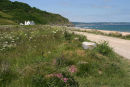 Wildflowers near Widdicombe Ley, Beesands - 2012 Calendar June