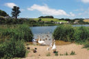 Family Life on Slapton Ley, Torcross