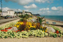 Floral display on Teignmouth promenade