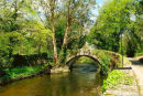 Topsham Bridge near Loddiswell