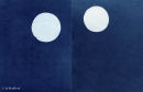 Variables