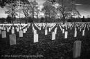 Arlington National Cemetery #1