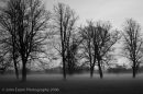 Blenhiem Evening Mist