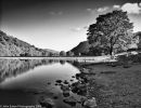 Brotherswater #1
