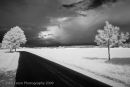 On the Road #1