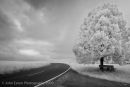 On the Road #3