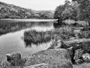 Grasmere #2
