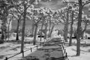 Herrenchiemsee #2