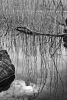 Rydal Water #1