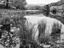 Rydal Water #2