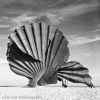 Aldeburgh #1