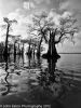 Atchafalaya #13