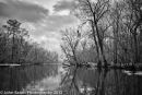 Atchafalaya #3