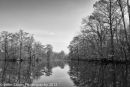 Atchafalaya #6