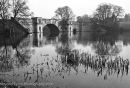 Blenheim, The Lake & Grand Bridge