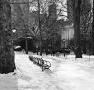 Central Park Bench
