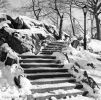 Central Park, Steps