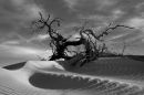 Death Valley, Dead