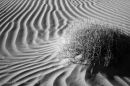 Death Valley, Focal Point
