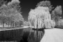HAmpton Court #2