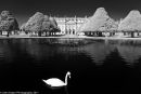 Hampton Court #1