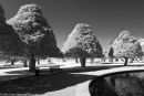Hampton Court #4