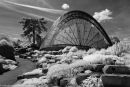 Alpine House #1