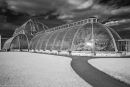 Palm House #1