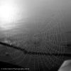 Spider's Web