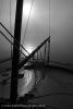 Lake Quinault, Misty Morning