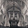 Exeter, Organ