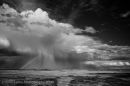 Petrified Forest, Passing Storm