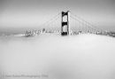 Fog through the Bridge