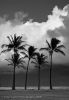 Ka'apa Beach, Stormy Evening #1