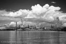 Tacoma Waterfront #3