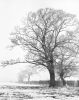 Honington #1