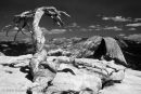 Half Dome from Sentinel Dome