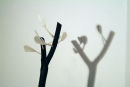 Memory of a stick 