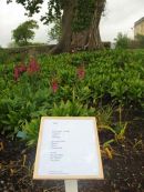 Tree poem (detail)