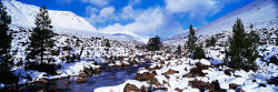 Cairngorns, Scotland