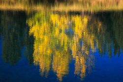 Autumn reflection, Banff National Park