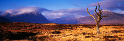 Rannoch Moor, Scotland