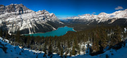 Lake Peyto, Banff national park
