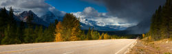 Icefield Parkway, Jasper National Park.