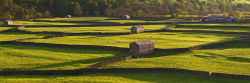 Barn pattern, Swaledale