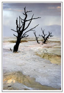 Mammoth Hot Springs (2)