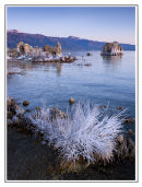Mono Lake (1)