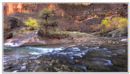 Virgin River - Zion