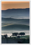 Morning Mists 