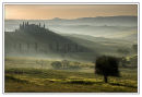 Belvedere (1)